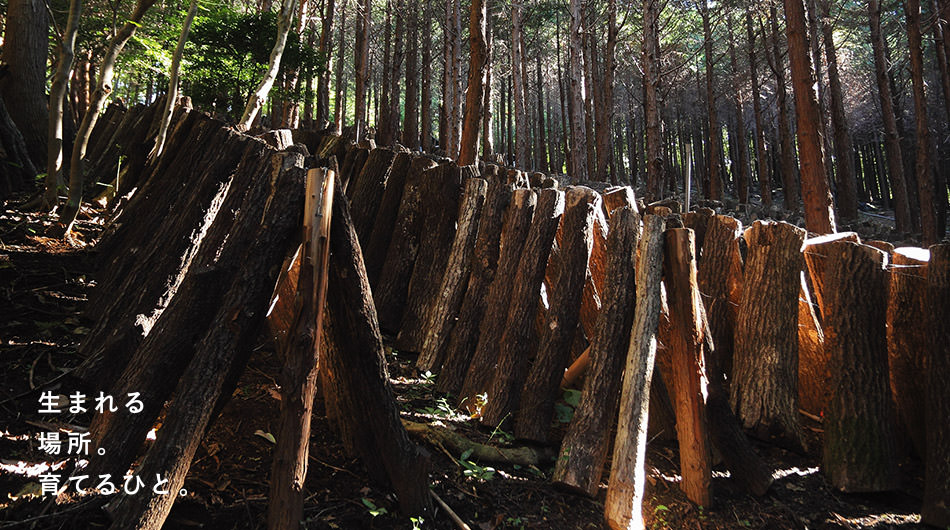 生まれる場所。育てるひと。